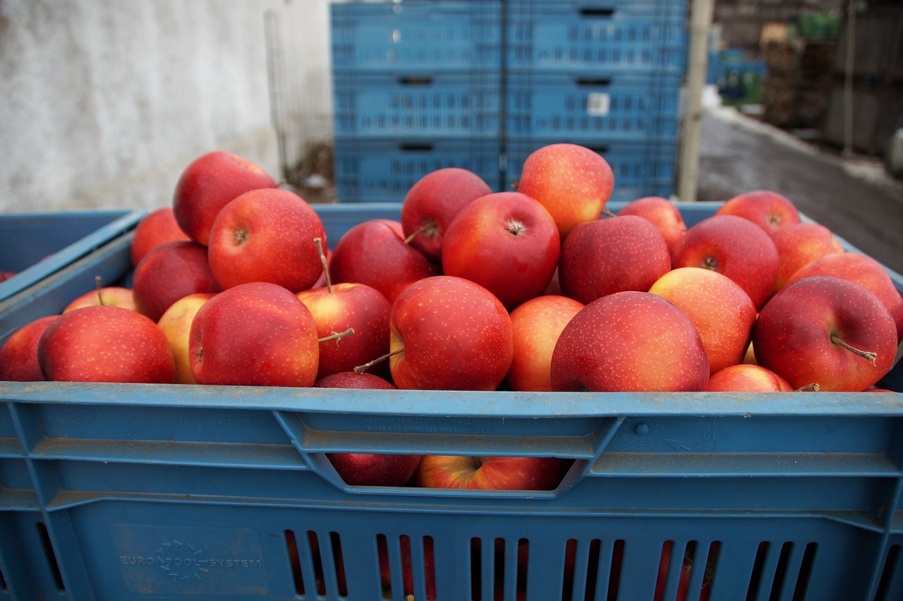 jablká v potravinárskom odvetví